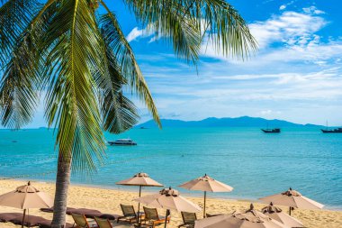 Hindistan cevizi palmiye ağacı ile güzel tropikal plaj deniz ve okyanus bir