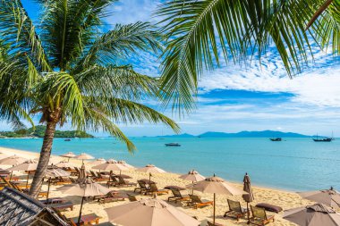 Hindistan cevizi palmiye ağacı ile güzel tropikal plaj deniz ve okyanus bir