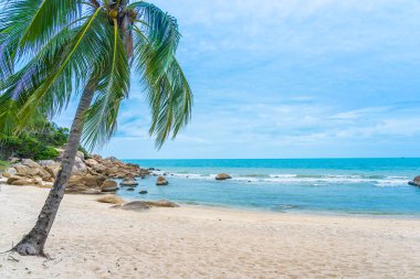 Samui Adası etrafında güzel açık tropikal plaj deniz ile Co