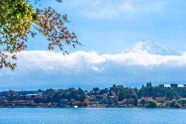 Dağ fuji ile akçaağaç yaprağı ağacın etrafında güzel manzara