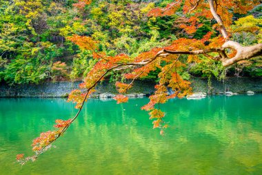 Akçaağaç ağaç yaprak ve etrafında tekne ile güzel Arashiyama Nehri 