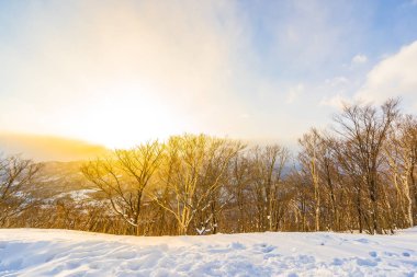 Dağın etrafından kar kış deniz ağacında ile güzel manzara