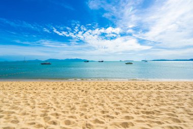 Hindistan cevizi palmiye ağacı ile güzel tropikal plaj deniz ve okyanus bir