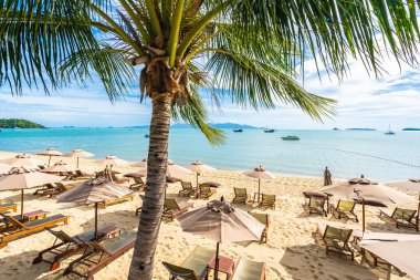 Hindistan cevizi palmiye ağacı ile güzel tropikal plaj deniz ve okyanus bir