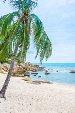 Samui Adası etrafında güzel açık tropikal plaj deniz ile Co