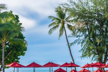 Sıcak açık yüzme havuzu etrafında güzel şemsiye ve sandalye