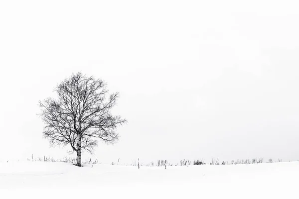 Όμορφο τοπίο με το μοναχικό δέντρο στο χιόνι το χειμώνα — Φωτογραφία Αρχείου