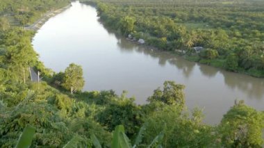 Tropikal ormanlarla çevrili nehrin hava görüntüleri.
