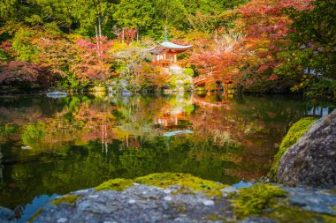 Güzel Daigoji Tapınağı ile renkli ağaç ve yaprak sonbahar s