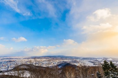 Dağın etrafından kar kış deniz ağacında ile güzel manzara