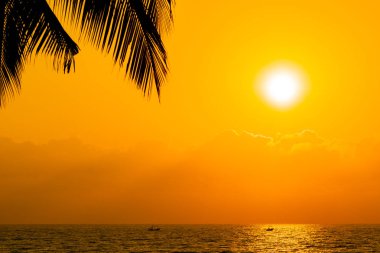 Güzel siluet Hindistan cevizi hurma ağacı gökyüzü neary deniz okyanus üzerinde olması