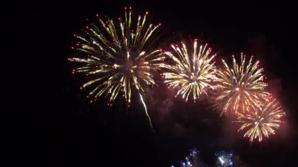 Close Footage Fireworks Exploding Night Sky — Stock Video