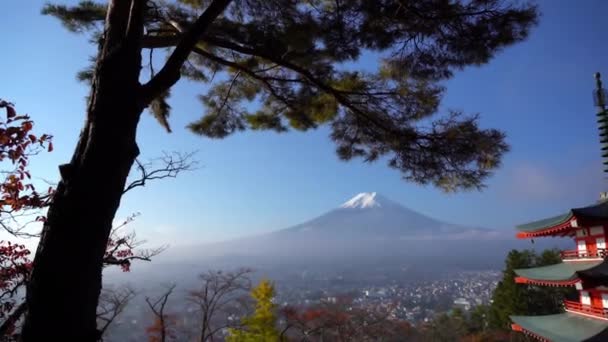 Imágenes Escénicas Hermosa Pagoda Japonesa Tradicional — Vídeo de stock