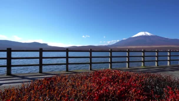 Güzel Dağ Fuji Japonya Doğal Görüntüleri — Stok video