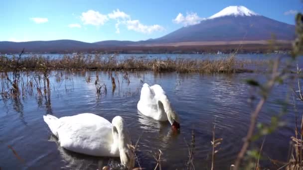 Riprese Panoramiche Della Bellissima Montagna Fuji Giappone — Video Stock