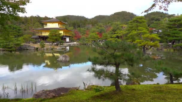 Imágenes Escénicas Hermosa Pagoda Japonesa Tradicional — Vídeos de Stock