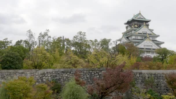 Scenic Footage Beautiful Traditional Japanese Pagoda — Stock Video