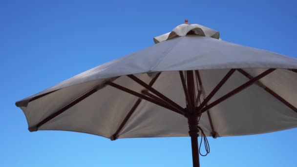 Képek Esernyő Kókuszpálmafákkal Háttérben Nyaralás Koncepció — Stock videók