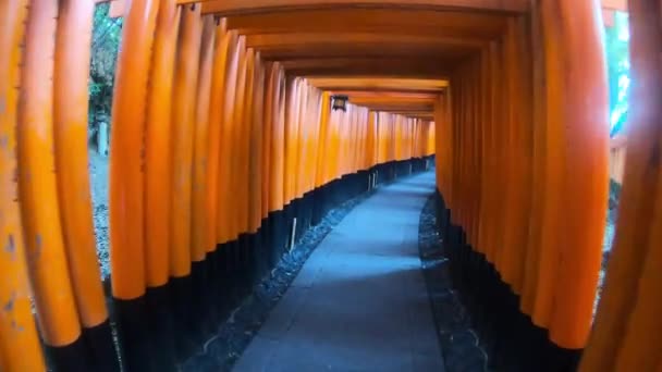 Riprese Panoramiche Della Porta Tori Attorno Tempio Fushimi Inari Kyoto — Video Stock