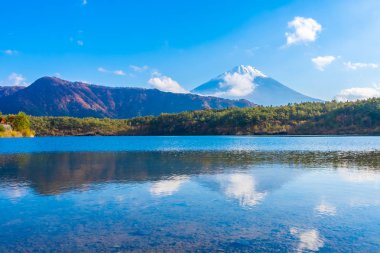 Dağ fuji ile akçaağaç yaprağı ağacın etrafında güzel manzara