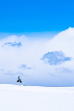 Güzel açık doğa manzara ile Noel ağacı kışın