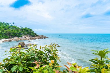 Samui Adası etrafında güzel açık tropikal plaj deniz ile Co