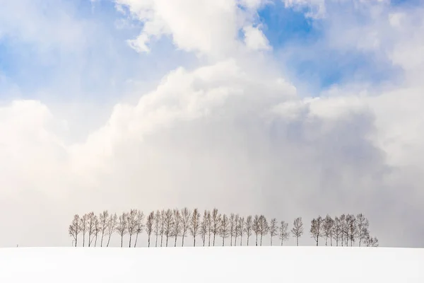 Vackra utomhus natur landskap med trädgren i grupp — Stockfoto