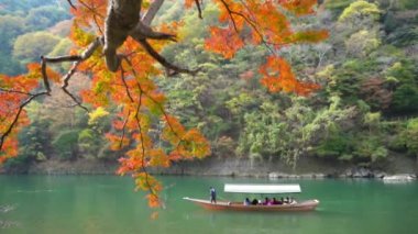 Güzel sonbahar ağaçlarının manzaralı yakın çekim görüntüleri. Arka planda tekne geçiyor.