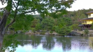 güzel geleneksel Japon pagoda doğal görüntüleri