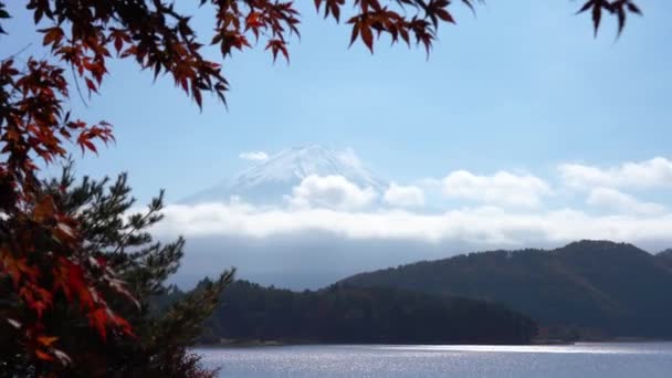 Schilderachtige Beelden Van Prachtige Berg Fuji Japan — Stockvideo