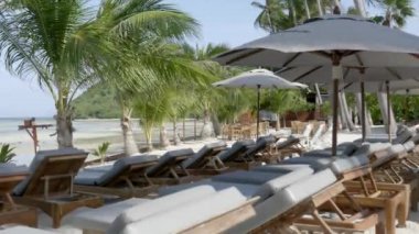 Güneşli bir günde güzel palmiye ağaçları ve güneşli yatakların olduğu kumsal görüntüleri.