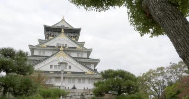 güzel geleneksel Japon pagoda doğal görüntüleri