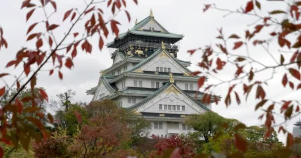 Vyhlídkové Záběry Nádherné Tradiční Japonské Pagody — Stock video