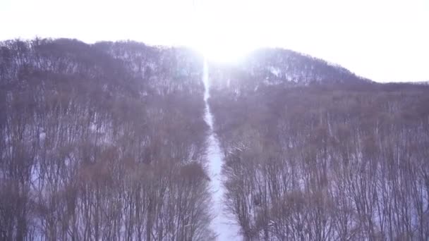 Japonya Hokkaido Daki Güzel Kış Manzarasının Manzaralı Görüntüleri — Stok video