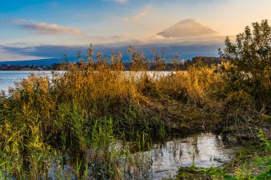 Dağ fuji ile akçaağaç yaprağı ağacın etrafında güzel manzara