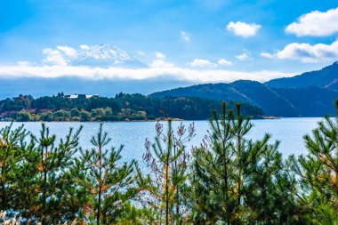 Dağ fuji ile akçaağaç yaprağı ağacın etrafında güzel manzara