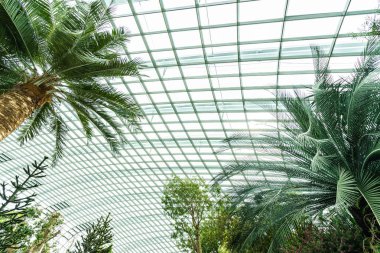 Çiçek kubbe Bahçesi ve greenhous bina güzel mimari