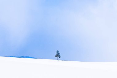 Güzel açık doğa manzara ile Noel ağacı kışın