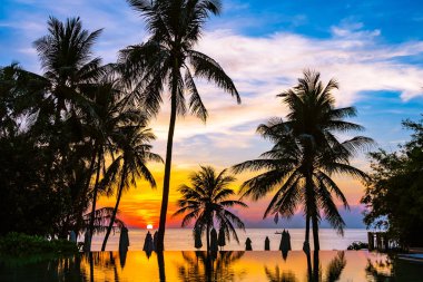 Yüzme havuzu güzel açık tropikal doğa manzara 