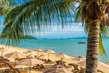 Hindistan cevizi palmiye ağacı ile güzel tropikal plaj deniz ve okyanus bir