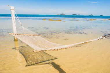 Holi için tropikal plaj deniz okyanusu etrafında güzel boş hamak