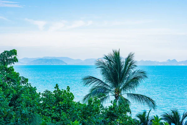 Hermosa playa al aire libre mar océano con palma de coco y otros tr —  Fotos de Stock