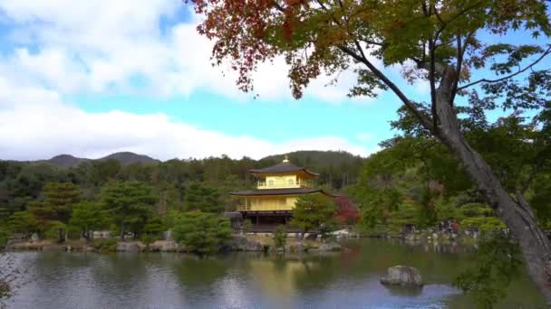 Látványos Felvételeket Gyönyörű Hagyományos Japán Pagoda — Stock videók