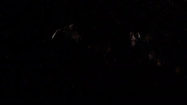 images rapprochées de feux d'artifice explosant dans le ciel nocturne