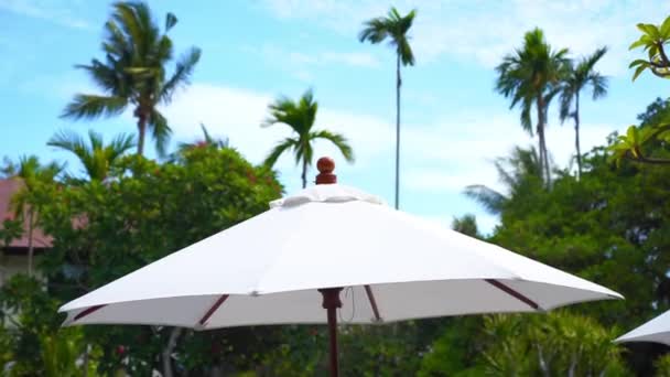 Съемка Зонта Кокосовыми Пальмами Заднем Плане Праздничного Отдыха — стоковое видео
