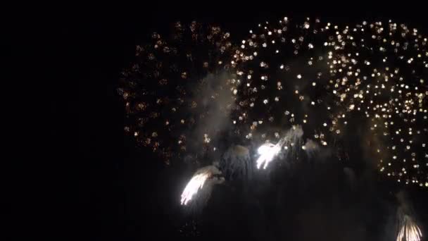 Detailní Záběry Ohňostroje Explodujícího Noční Obloze — Stock video