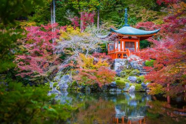 Güzel Daigoji Tapınağı ile renkli ağaç ve yaprak sonbahar s
