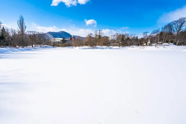 美丽的风景与树在雪冬天季节 — 图库照片