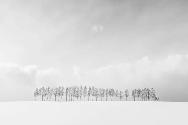 Bela paisagem natural ao ar livre com grupo de árvore ramo em — Fotografia de Stock