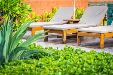 Hindistan cevizi palmiye ağacı ile güzel tropikal plaj deniz ve okyanus bir